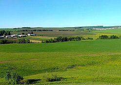 Участок 3 га. в селе Арбаш